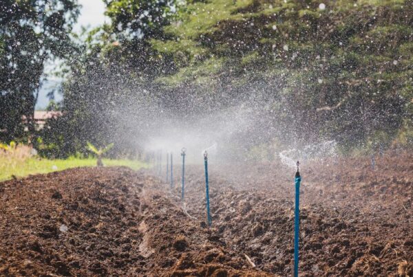 Polyethylene Water Pipe Systems sostenibilità e sicurezza per l’acqua potabile