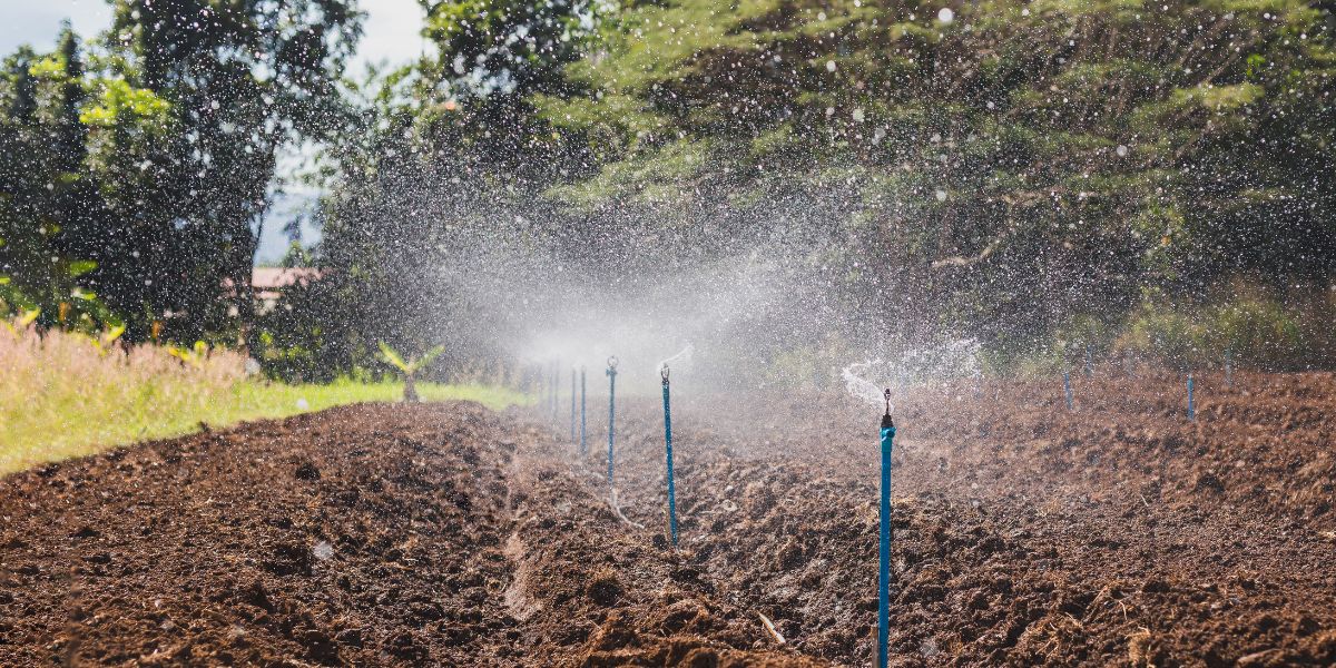 Polyethylene Water Pipe Systems sostenibilità e sicurezza per l’acqua potabile